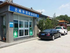 android_upload_pic-美联众合动物医院·内科·皮肤科·外科(古城分院)