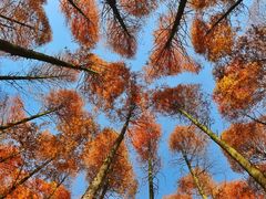 -山王坪喀斯特国家生态公园