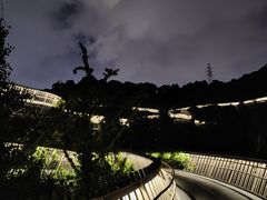 -福道