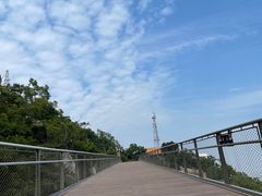 -景山公园