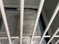 -拜鲁耶动物诊疗中心·宠家动物医院