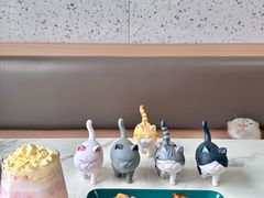 -喵园·猫主题咖啡厅·撸猫·猫咖(国贸店)