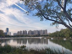 -滨湖塘西河公园
