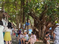 -海南分界洲岛旅游区