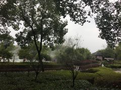 -山湖温泉