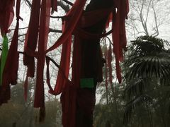 -敬亭山风景名胜区