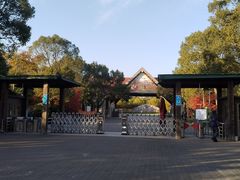 -上海海湾国家森林公园