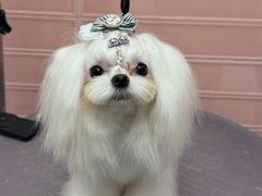 -FAELING PETS美天灵宠物(合生汇店)