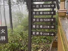 -鲁山国家森林公园