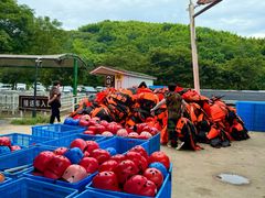 -天目湖松岭竹海漂流