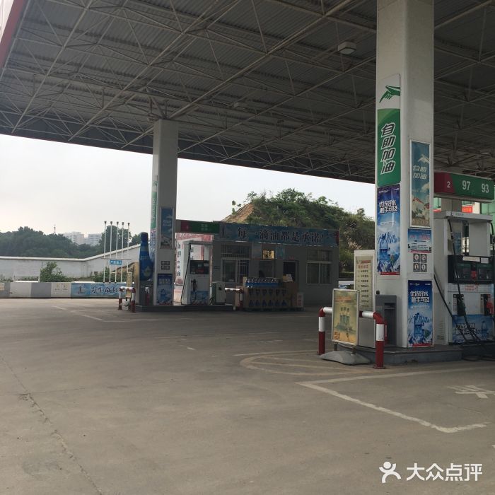 中国石化红安城关加油站图片