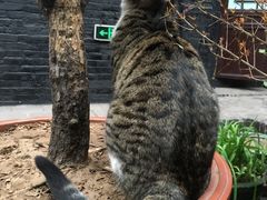-德居源
