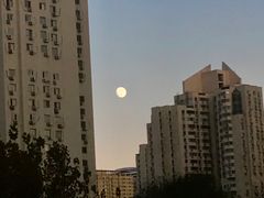 -锅十二涮肉馆·鞭蛋锅