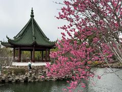 -无锡蠡湖国家湿地公园-蠡园