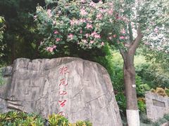 -狐尾山公园