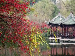 -棠湖公园