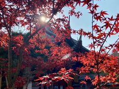 -龙华寺