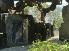 -官马溶洞