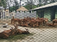 -南宁市动物园