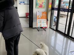 -宠颐生动物医院·小陆分院