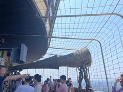 -中央电视塔旋转餐厅