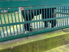 -秦皇岛野生动物园