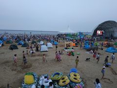-碧海金沙