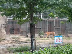 -秦皇岛野生动物园