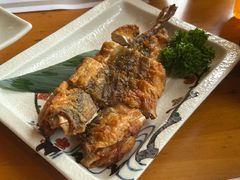 -天正河鲀·河豚亭(大连店)