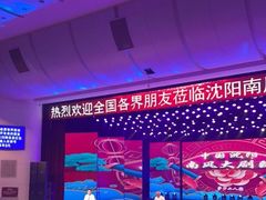 -南风大剧院莎梦二人转剧场