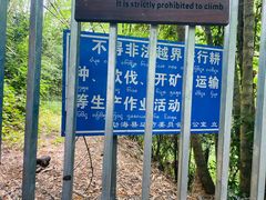 -打洛口岸