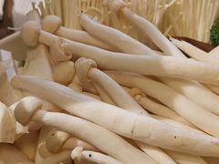 -新辣道鱼火锅(世纪金源购物中心店)