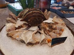 -1718海鲜姿造(苏宁宴请臻选店)