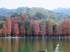 -广州市白云山风景名胜区