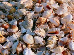 -青岛第三海水浴场