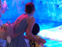 -芜湖新华联大白鲸海洋公园