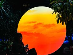 -扬之阿李菌汤火锅(1969店)