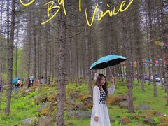 -硗碛藏寨·神木垒景区