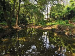-重庆彩云湖湿地公园