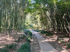 -兰亭风景区
