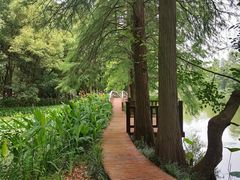 -东湖落雁景区