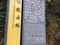 -川西竹海景区