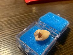 -泰康拜博口腔医院(海曙店)