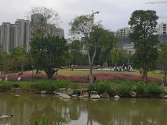 -牛岗山公园