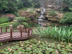 -铁山坪森林公园