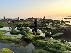 -碧桂园十里银滩