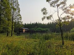 -黄海国家森林公园