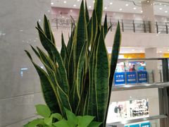 -光启城时尚购物中心