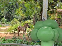-海南热带野生动植物园