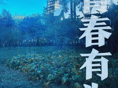 -玲珑塔公园